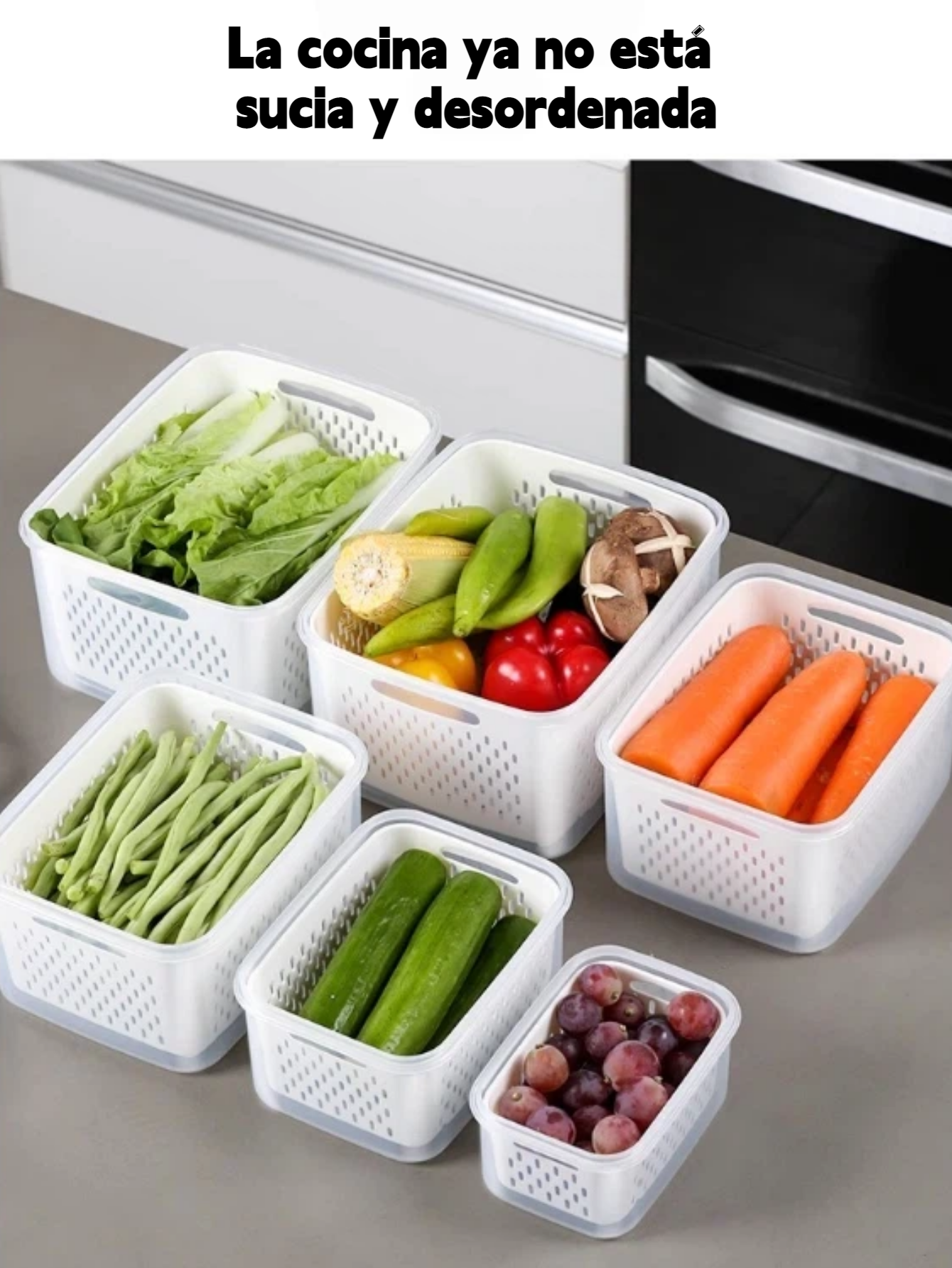 Cajitas de Conservación Alimentaria con Certificación FCM