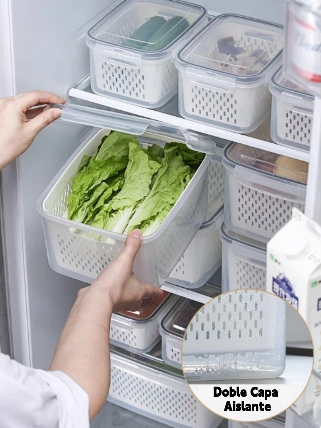 Cajitas de Conservación Alimentaria con Certificación FCM