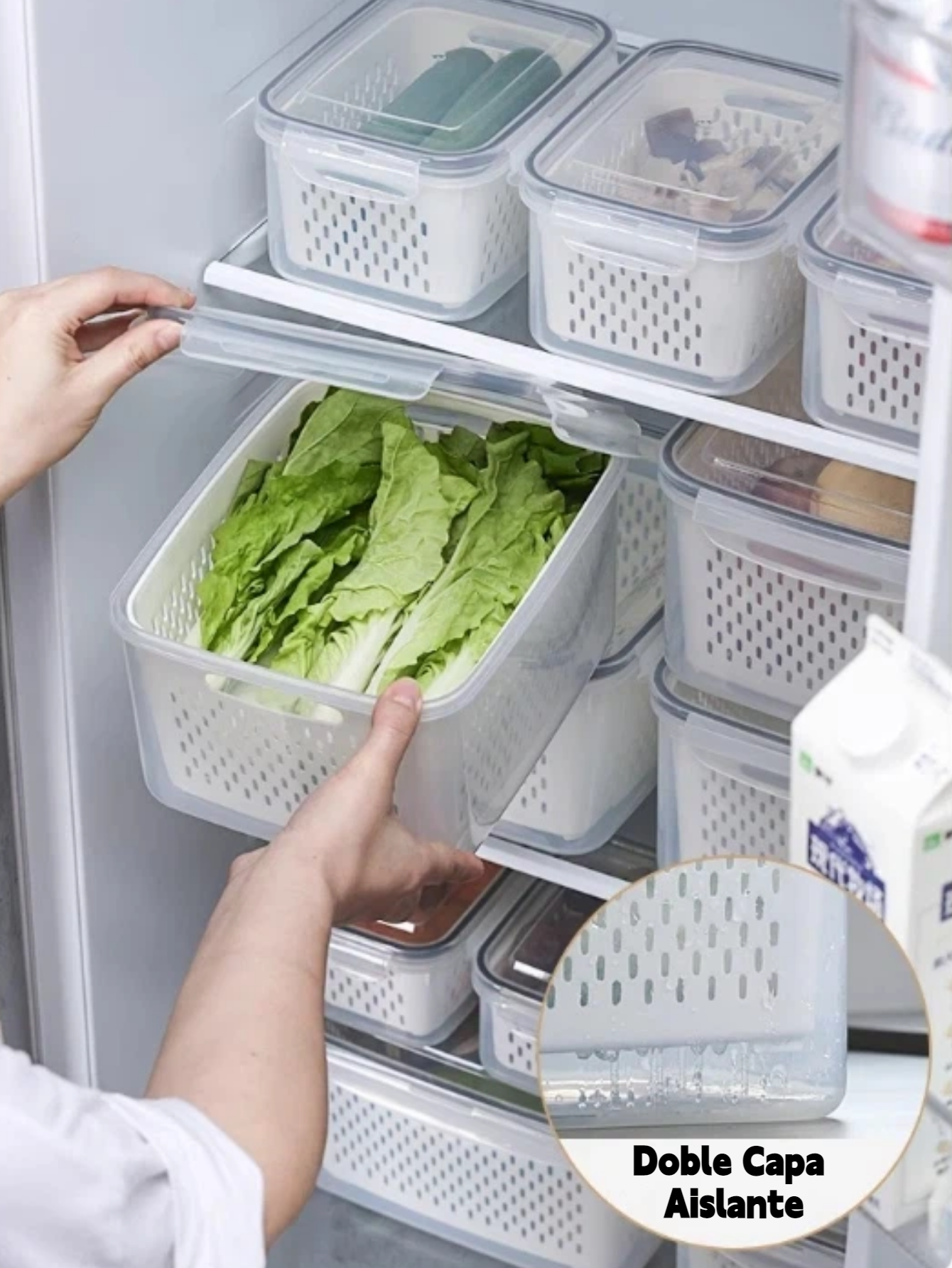 Cajitas de Conservación Alimentaria con Certificación FCM